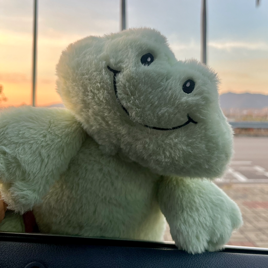 Happy Frog with Christmas Sweater & Scarf