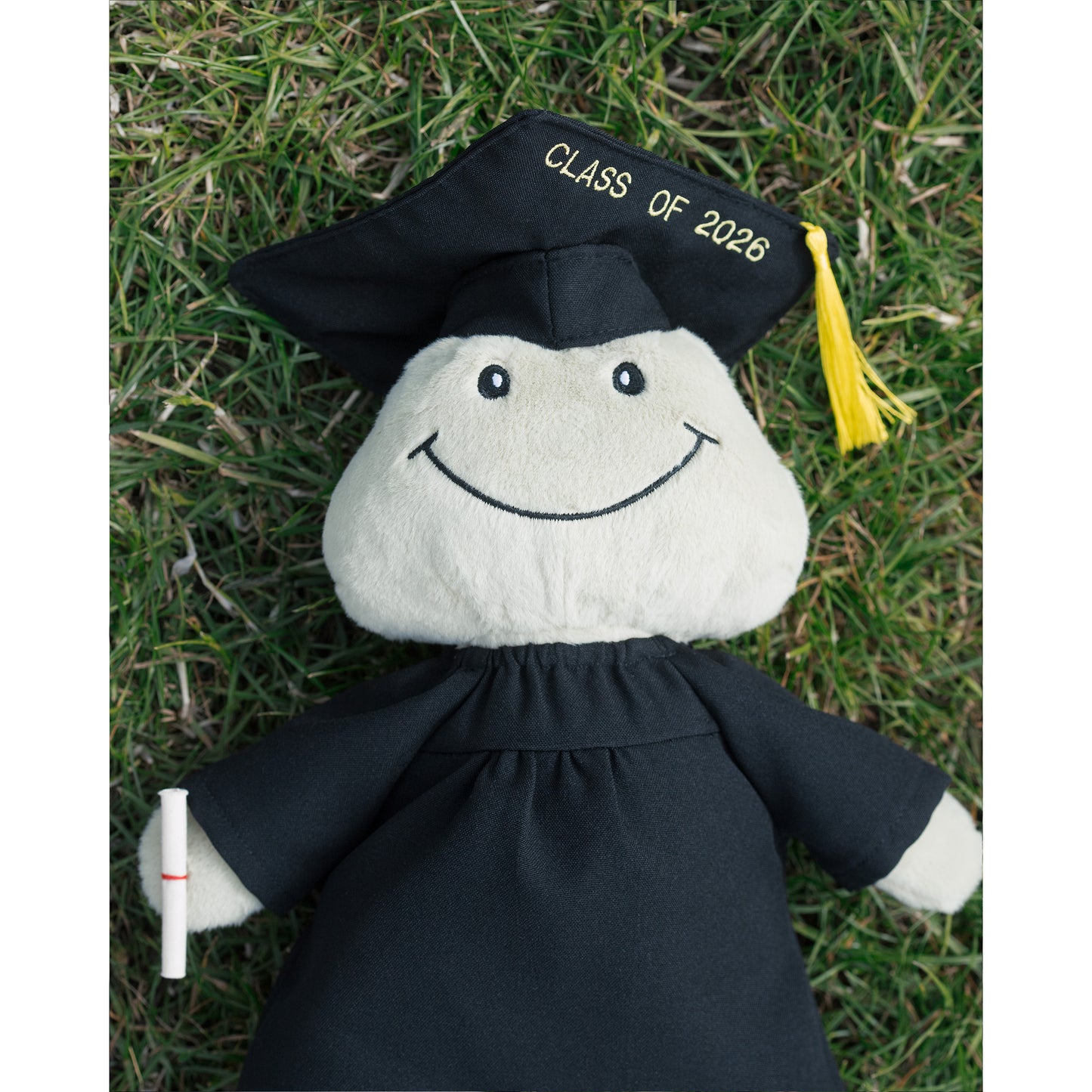 Graduation Frankie Frog