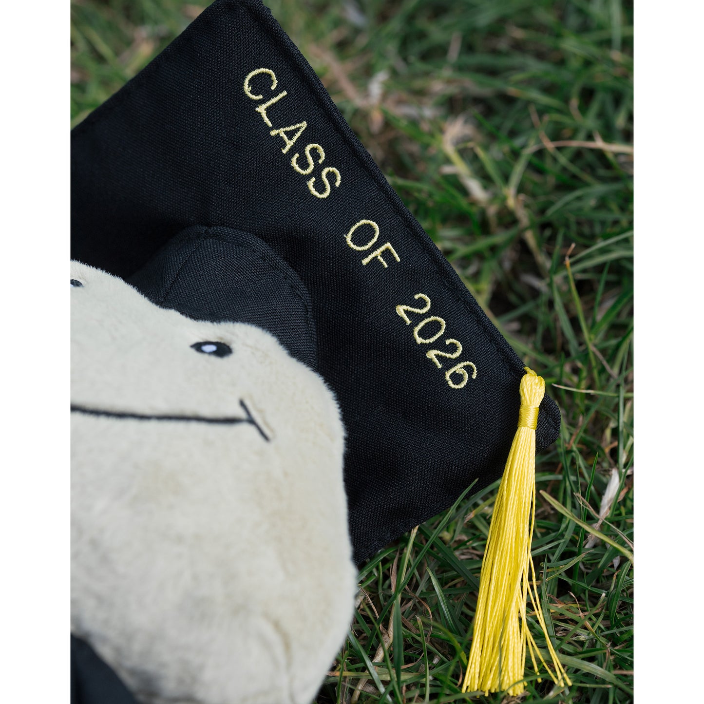Graduation Frankie Frog