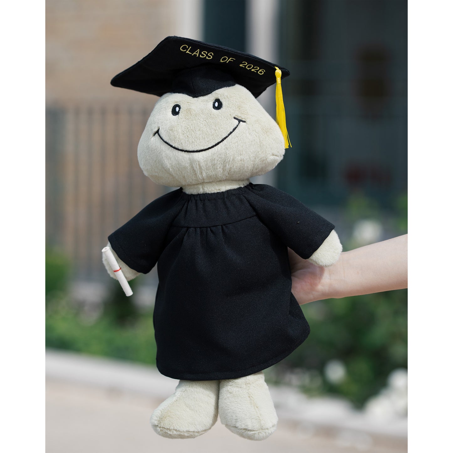 Graduation Frankie Frog