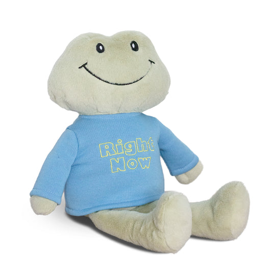 Frankie Frog + Right Now Sky Blue Sweatshirt